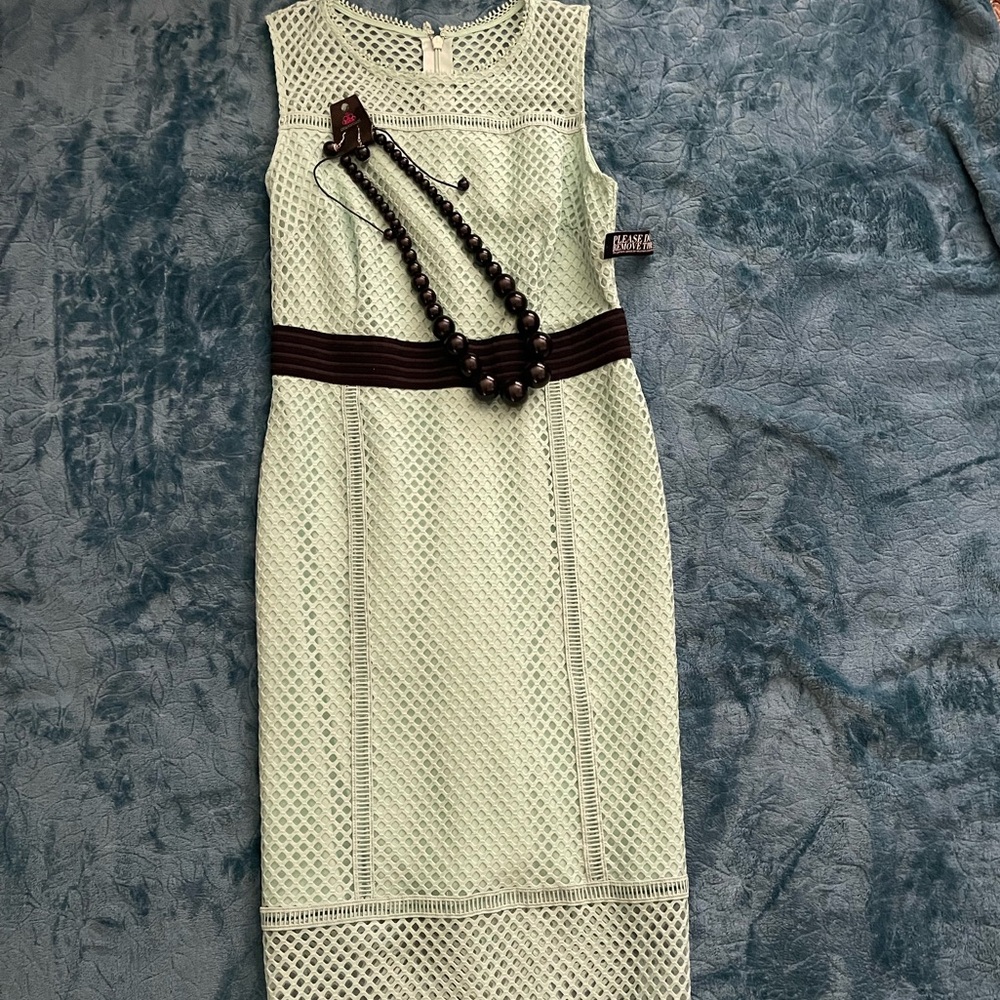 NWT Size 6 sea foam green dress midi
